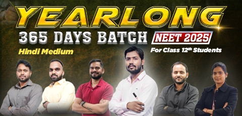 Class 12th Yearlong Hindi Batch NEET 2025