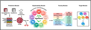 AI-based Discovery of Anti-Ageing Molecules by IIIT-Delhi