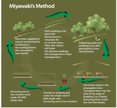 Miyawaki Technique Used to Create Dense Forests in Prayagraj