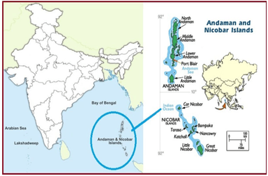 Nicobar Tribe Genetically Linked to South and Southeast Asia