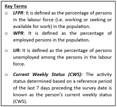 Periodic Labour Force Survey (PLFS) – Quarterly Bulletin [Oct – Dec 2024]