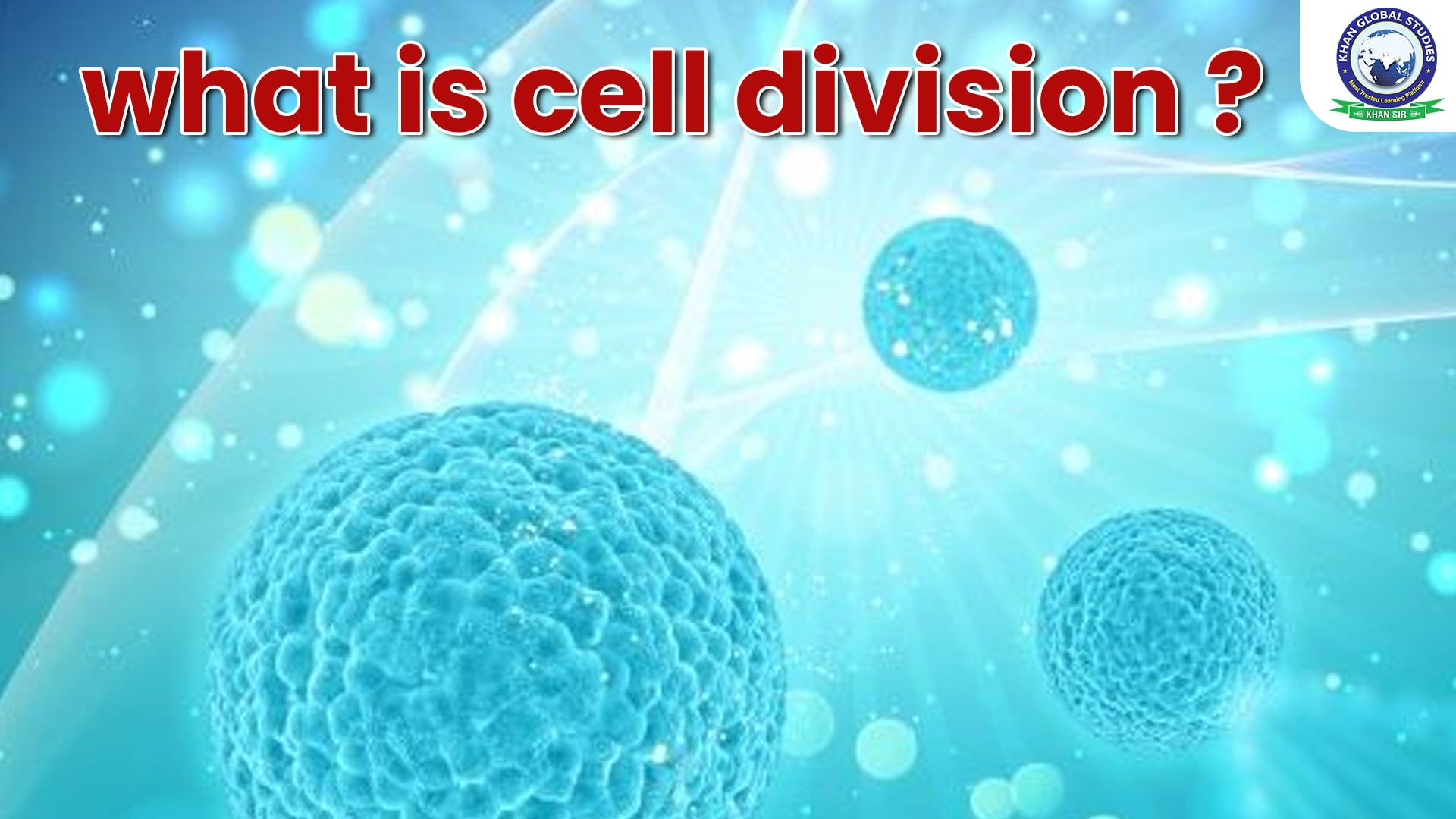 Human Cell Division Photos and Images | Shutterstock