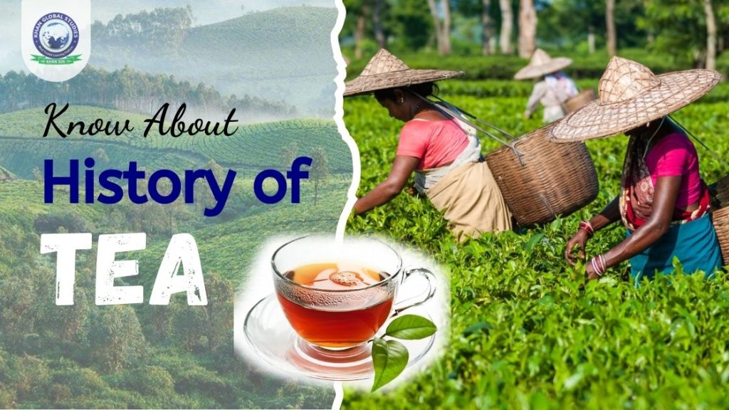 What is the History of Tea in India and how did it Start? | Khan Global ...