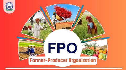 Farmer Producer Organization Scheme: Object & Key Factors